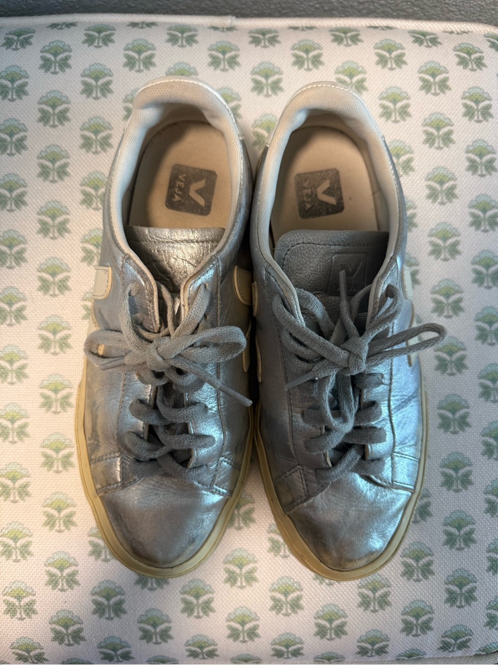 Veja Metallic Silver Low-Top Sneakers with Cream Sole